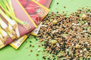 WVU warns of suspect seed packs in the mail